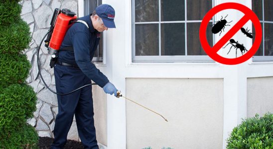 Mecitözü Hamam Böceği İlaçlama böcek ilaçlama ve haşere kontrolü — ilaclama-tr.com